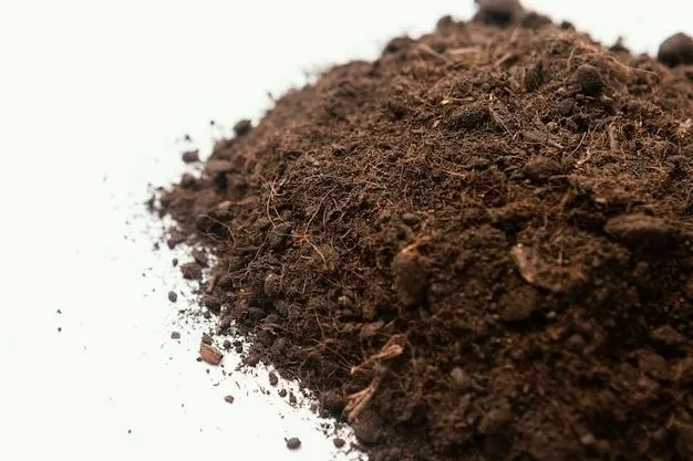 soil composition Image